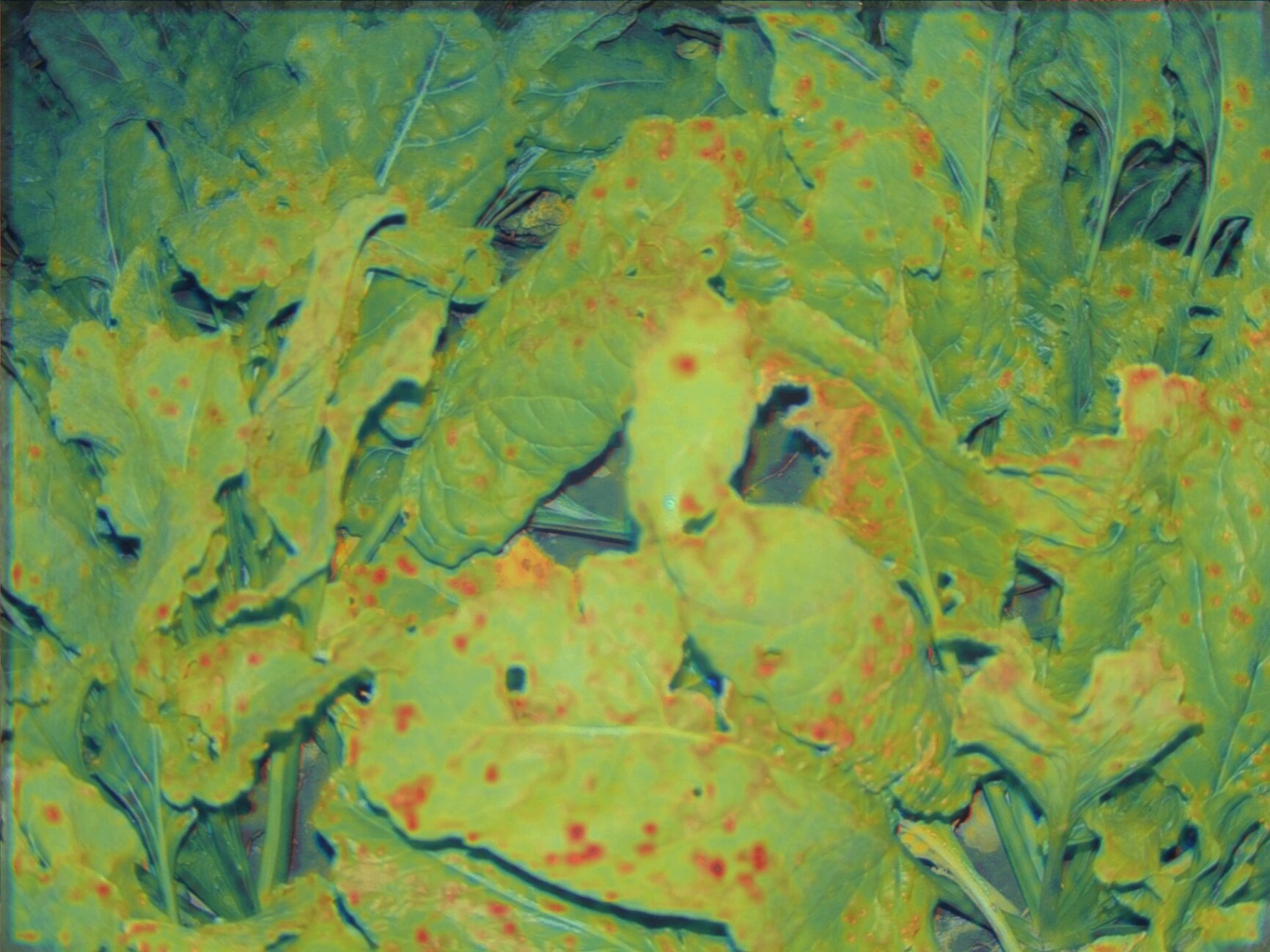 Close-up leaf canopy with red anomaly overlay highlighting localized stress